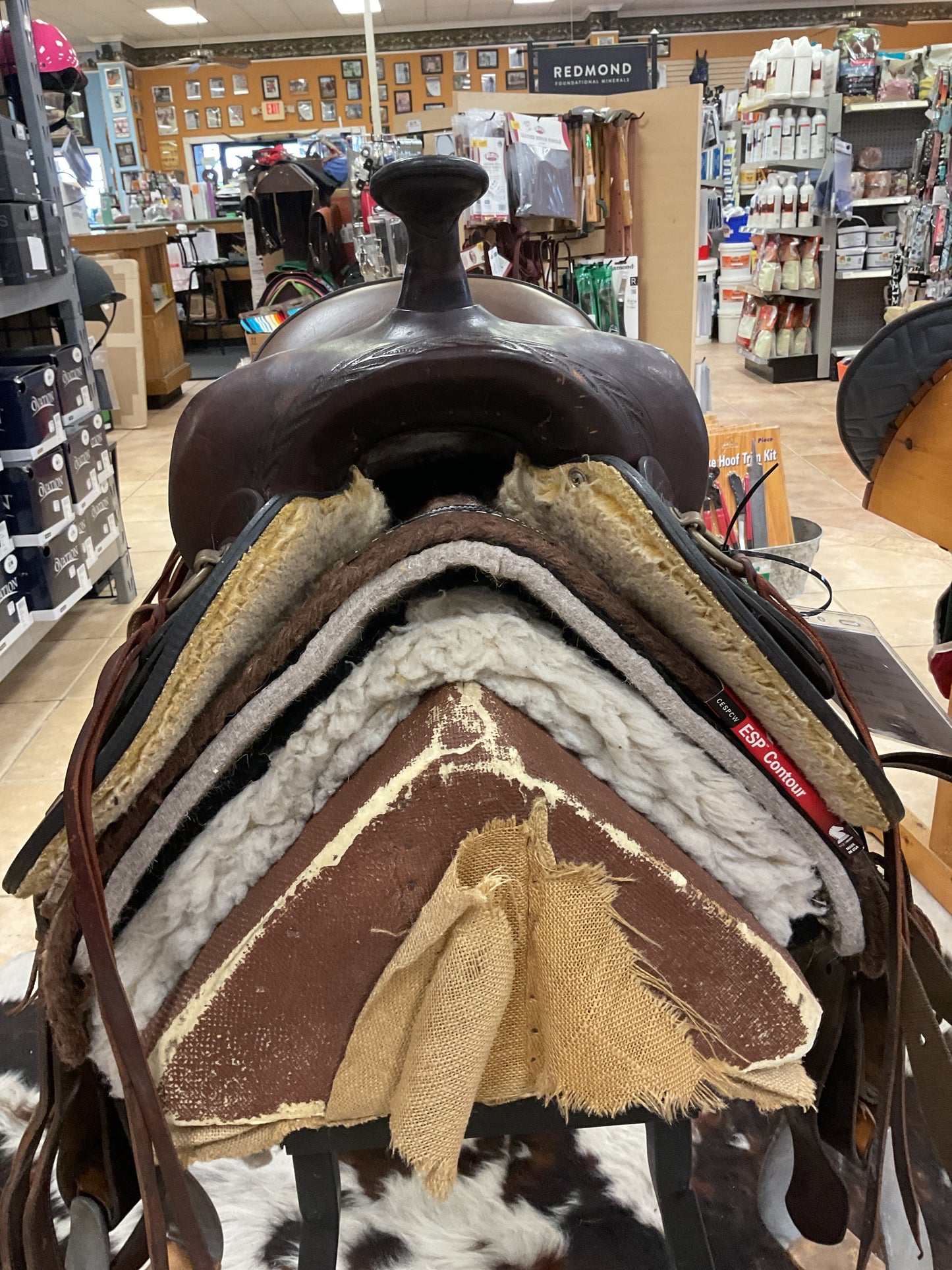 USED Big Horn Trail Saddle