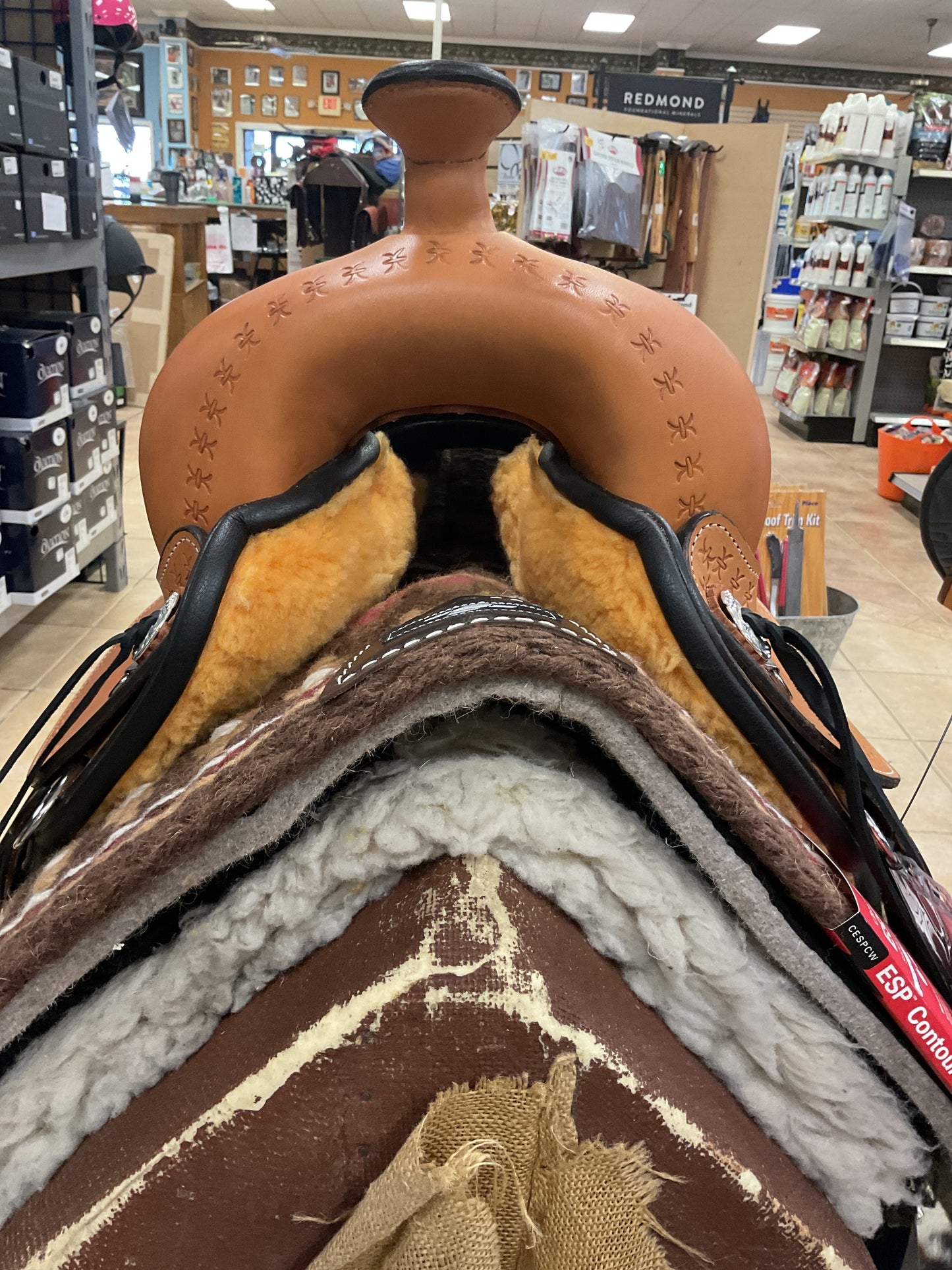 Circle Y Alabama Spider Gaited Trail Saddle