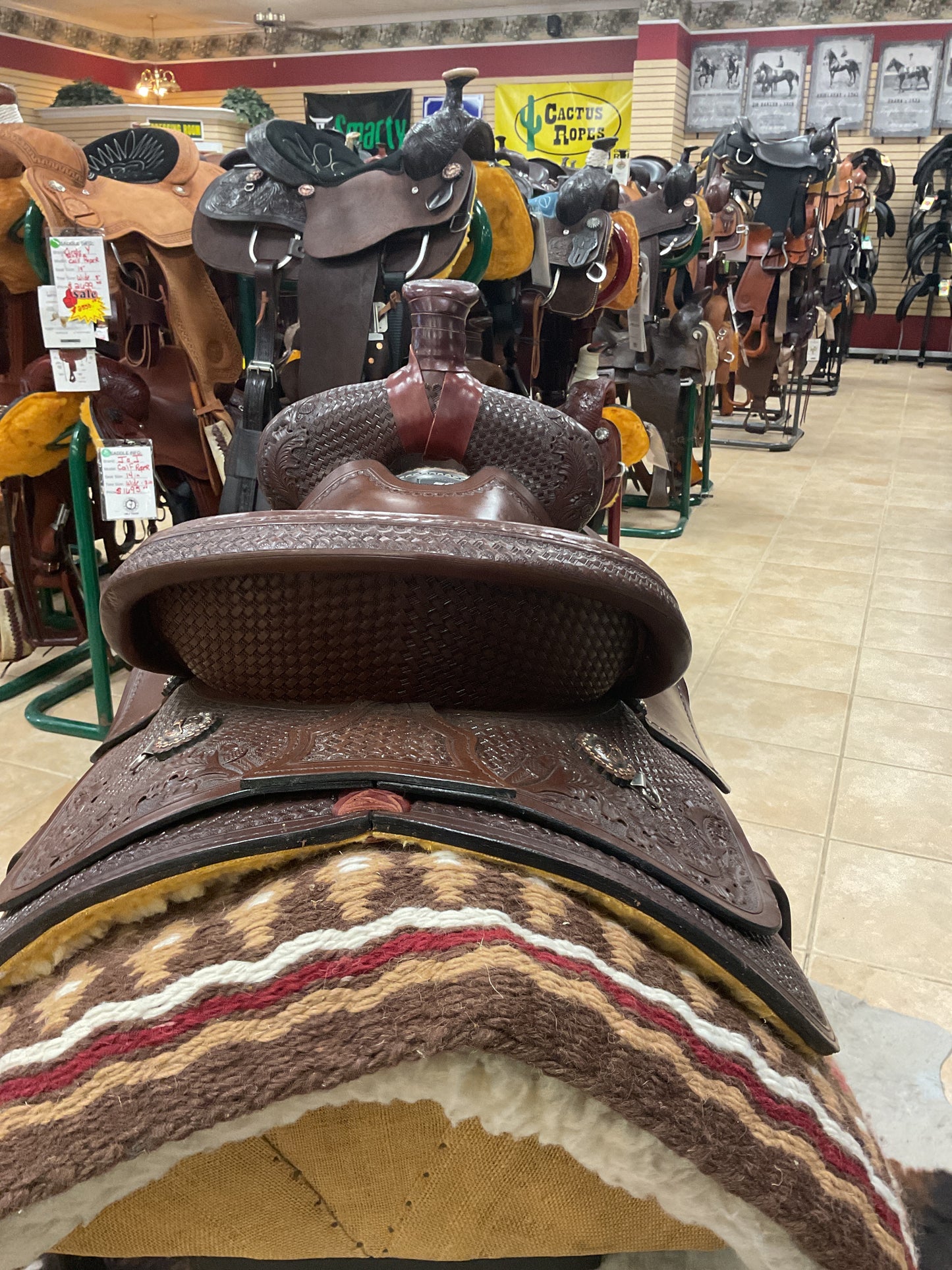 J & J Ranch Roper
