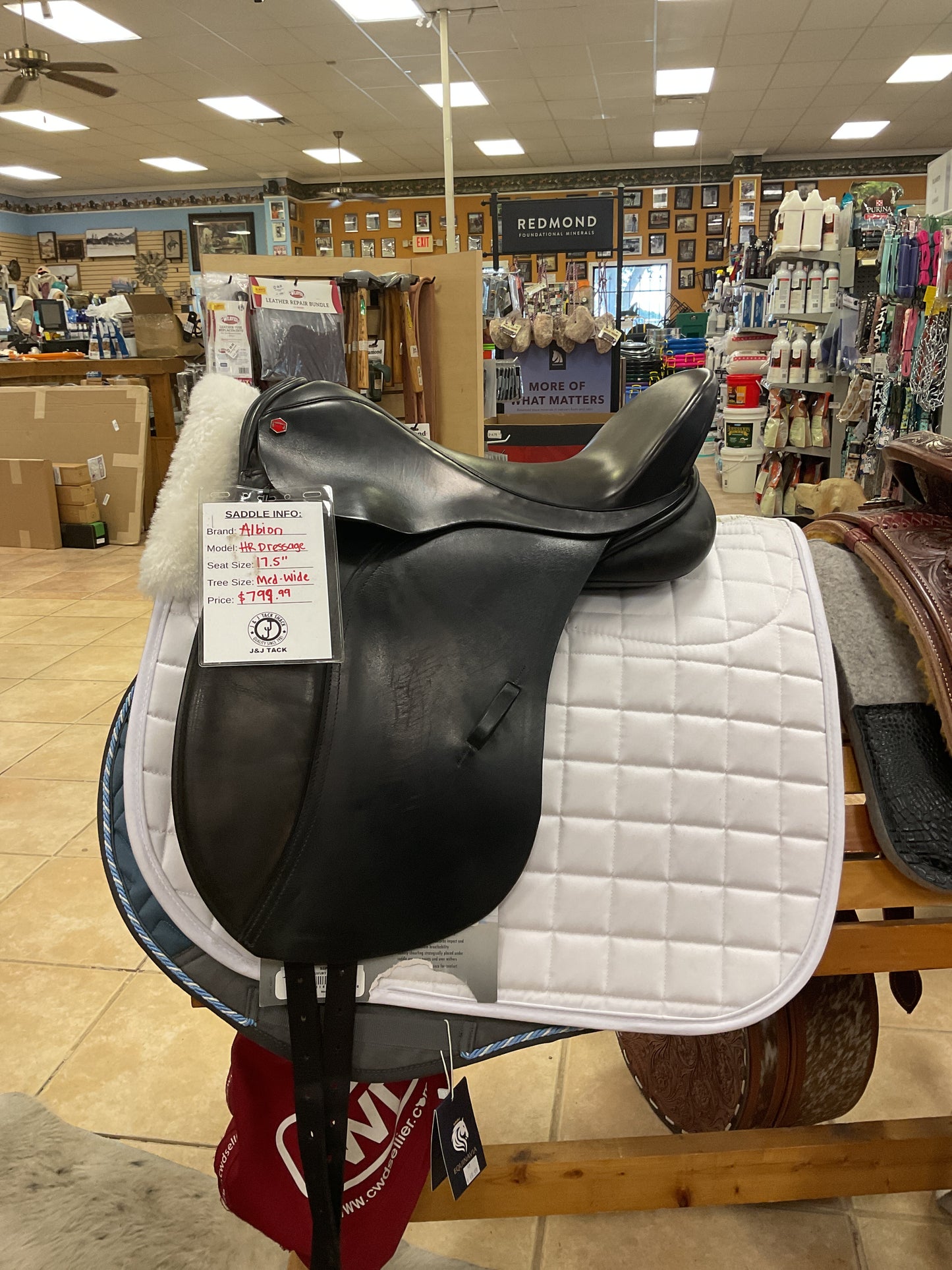 USED Albion HR Dressage