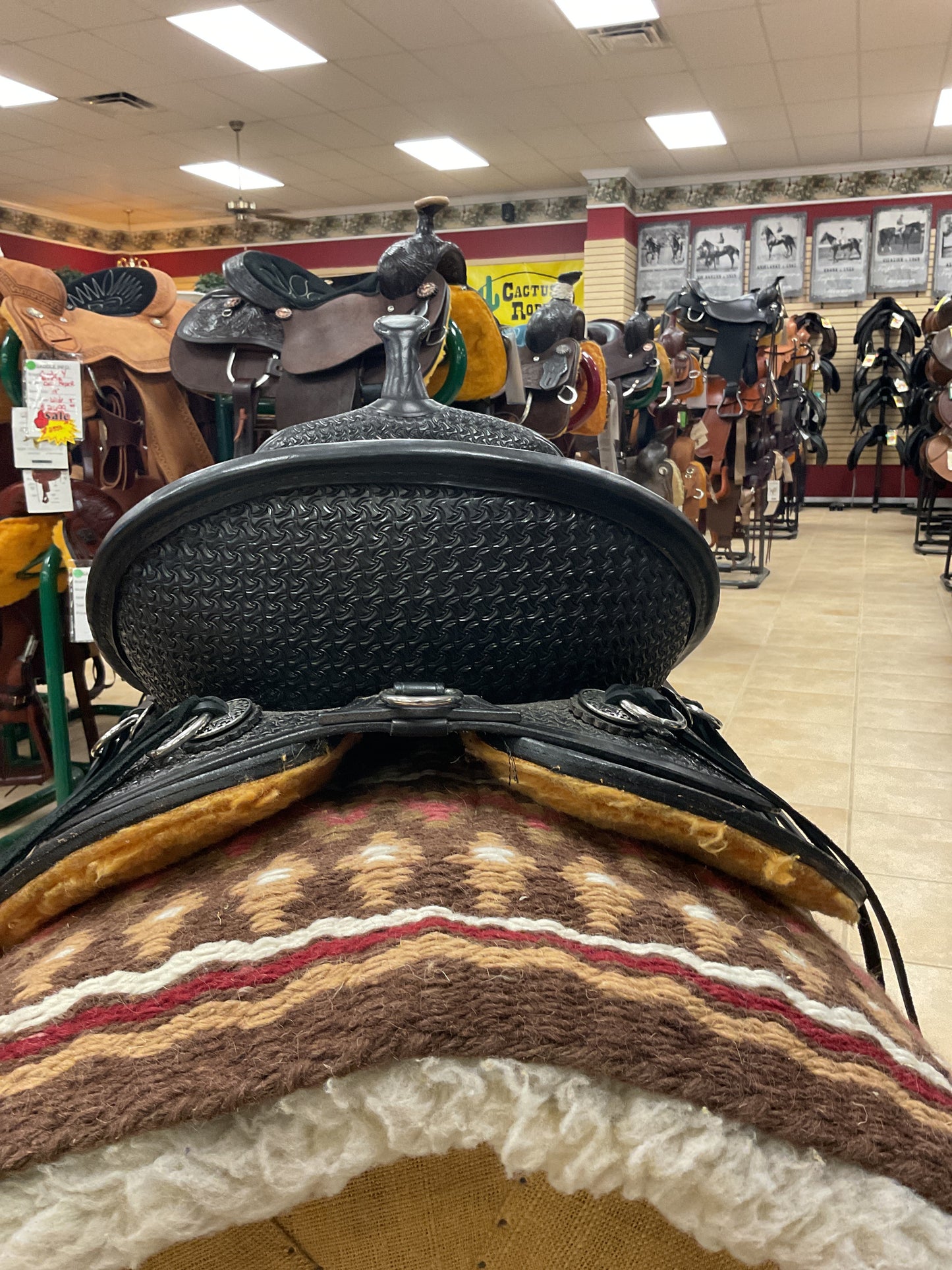 USED High Horse Sulphur River