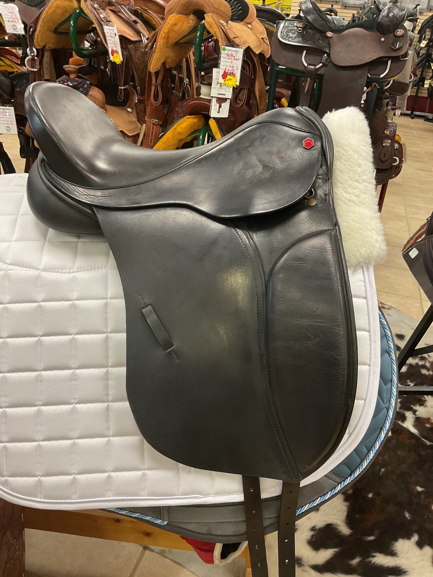 USED Albion HR Dressage