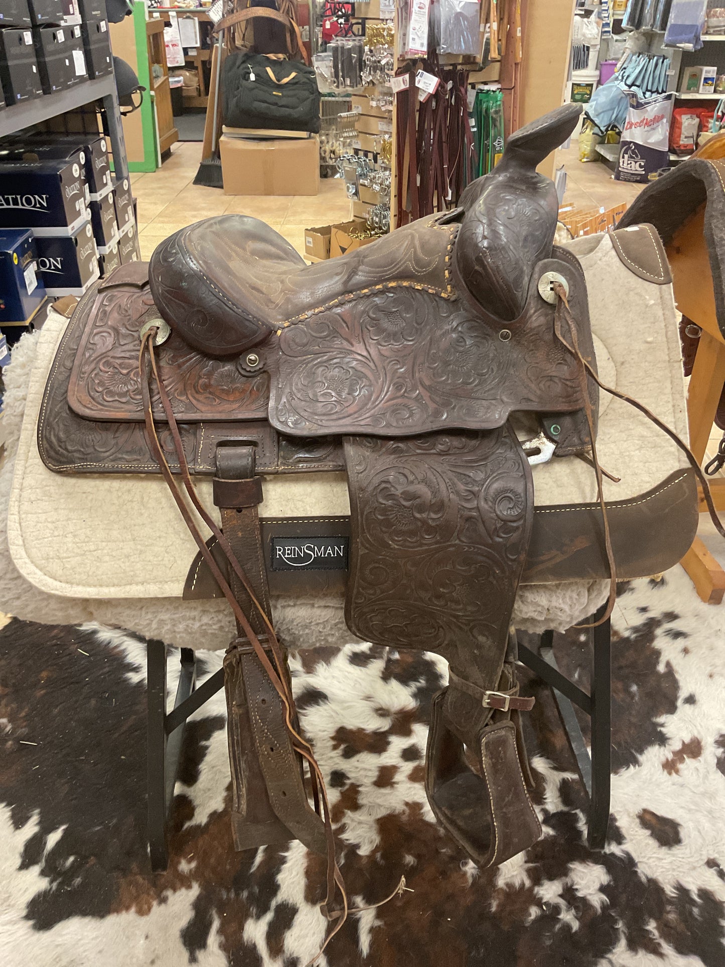 Used Longhorn All Around