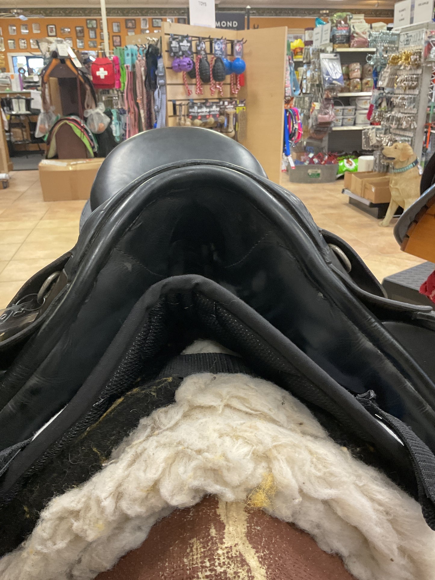 Used Karl Niedersur Sattlemeister Dressage Saddle