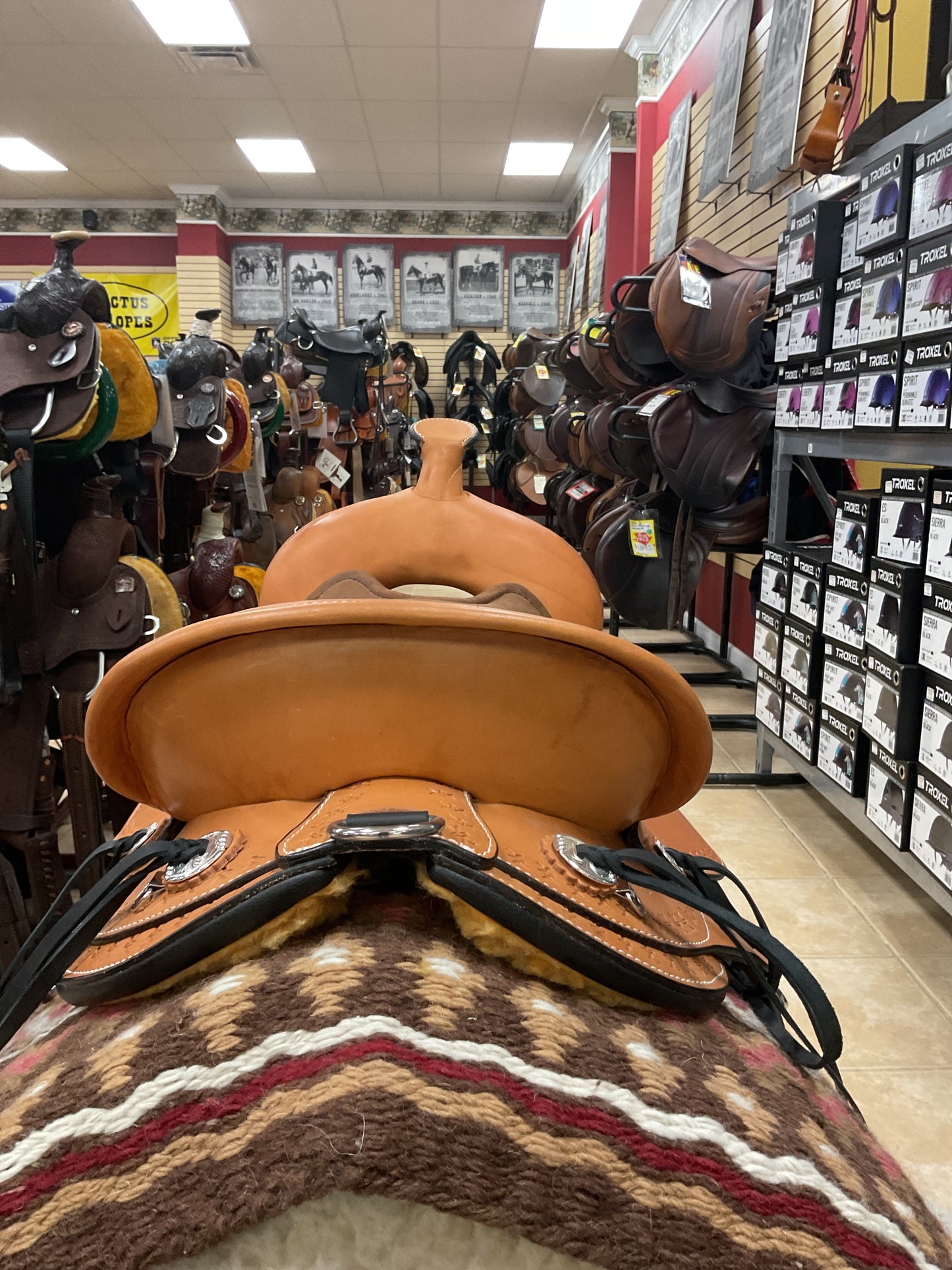 Circle Y Alabama Spider Gaited Trail Saddle