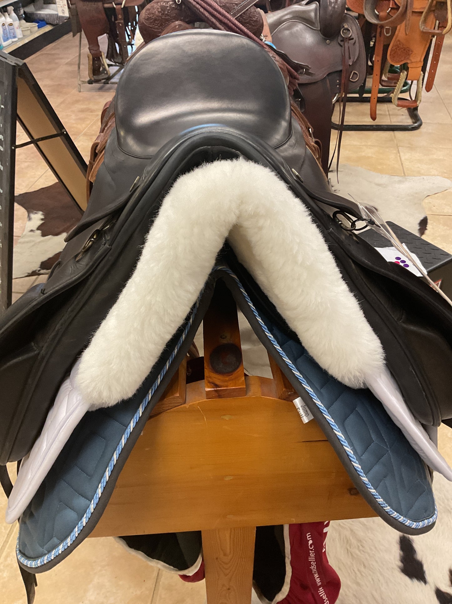 USED Albion HR Dressage