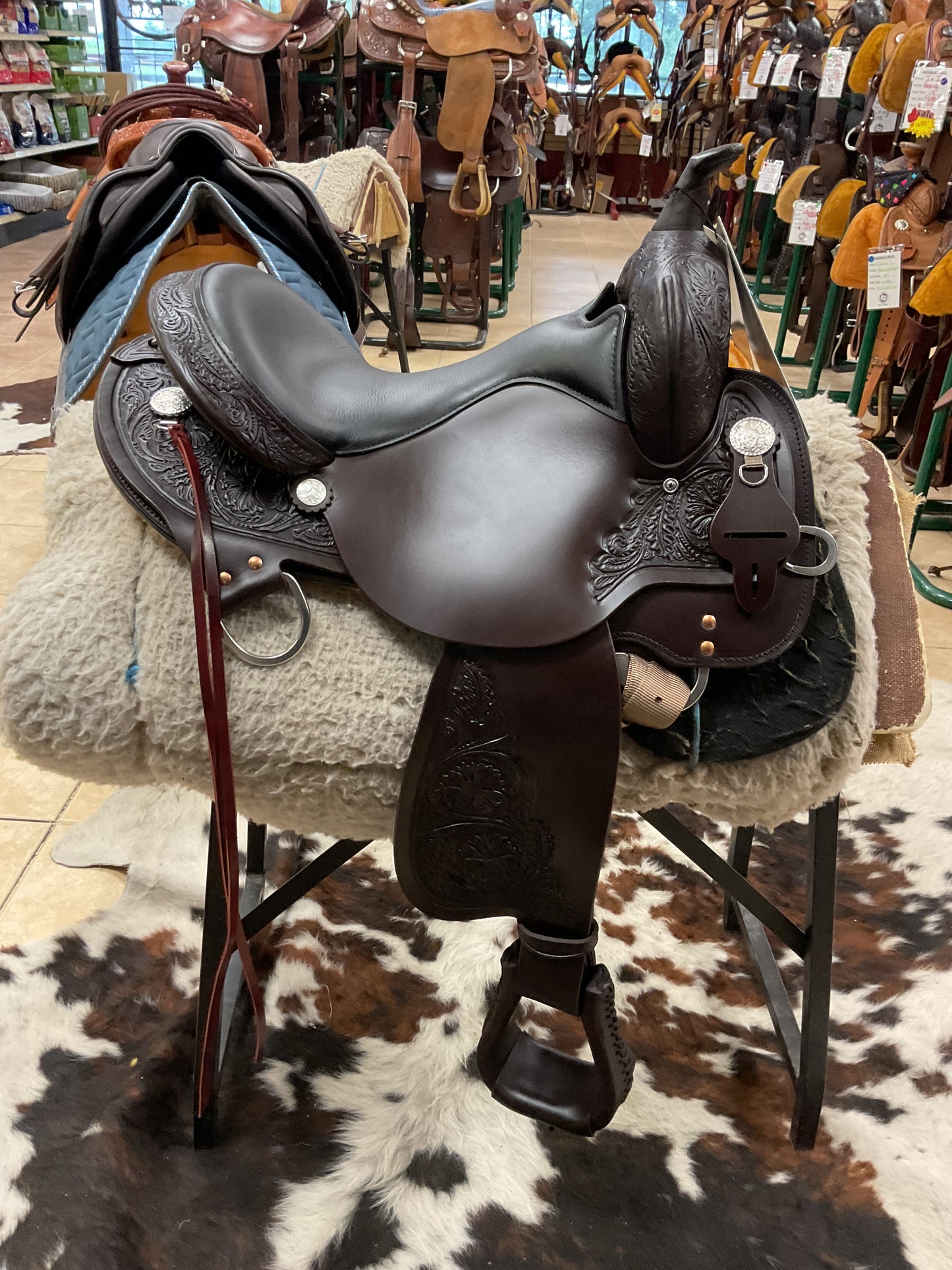 High Horse Round Rock Gaited Trail