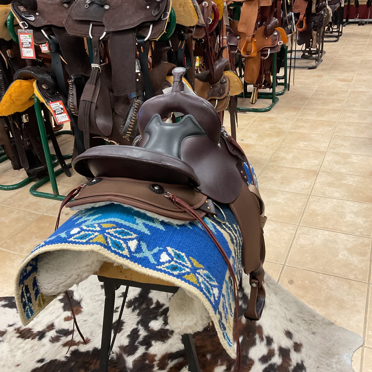 High Horse El Campo Gaited