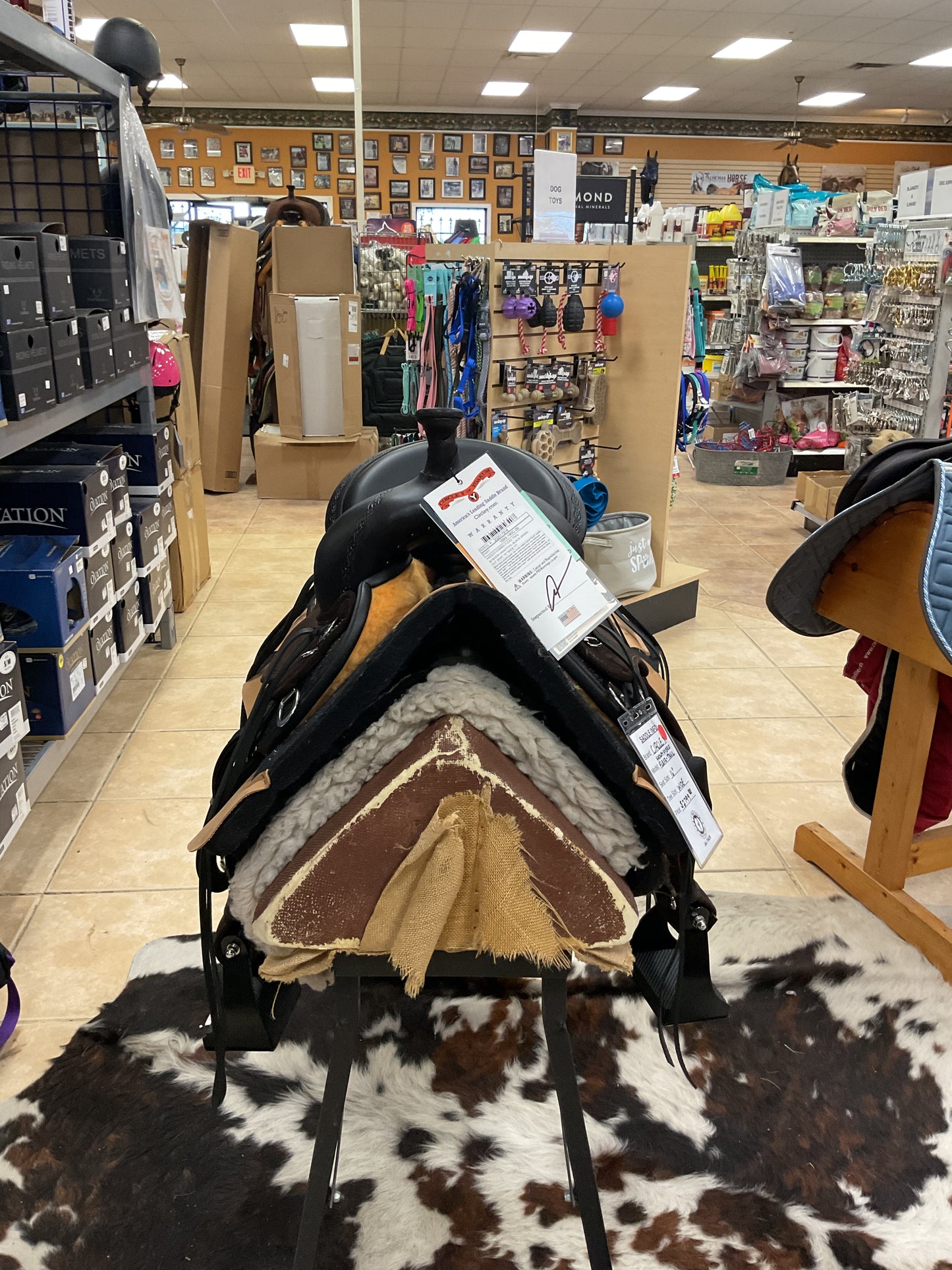 Circle Y Hadley Hybrid Flex2 Trail