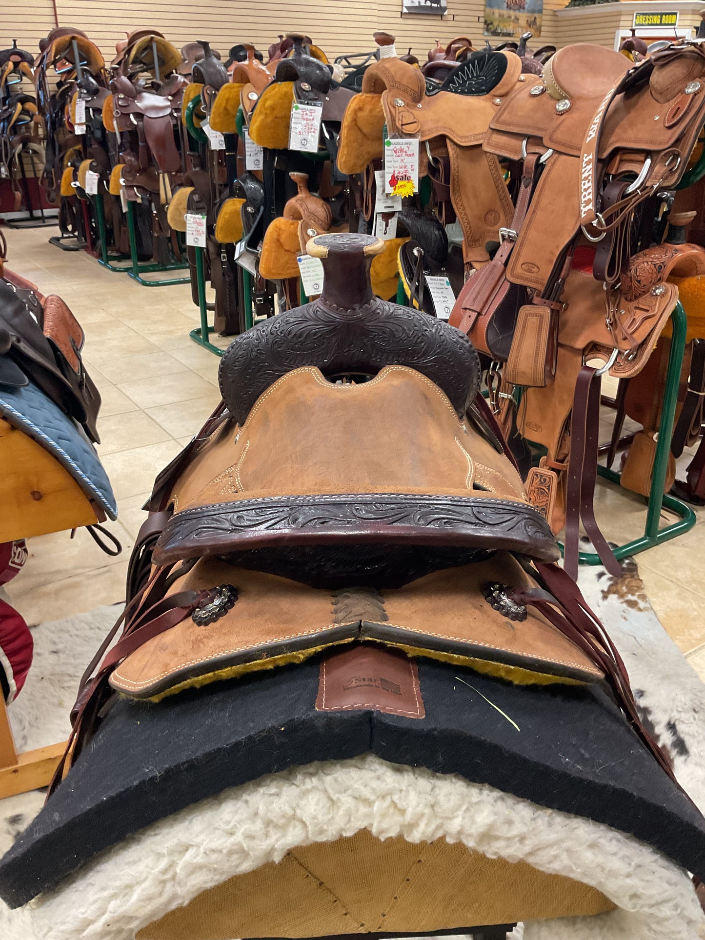 Silver Royal Chandler Roper