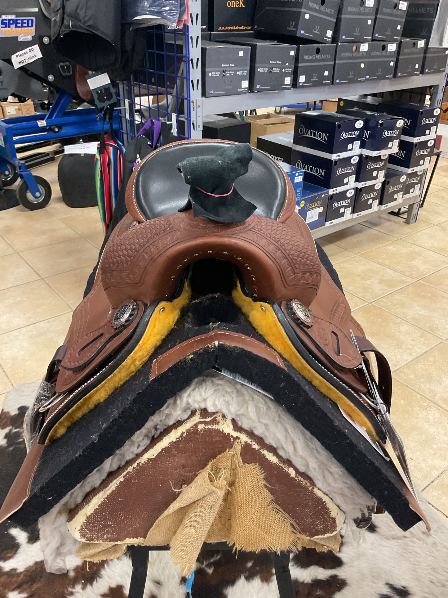 Silver Royal Rio Vista Trainer