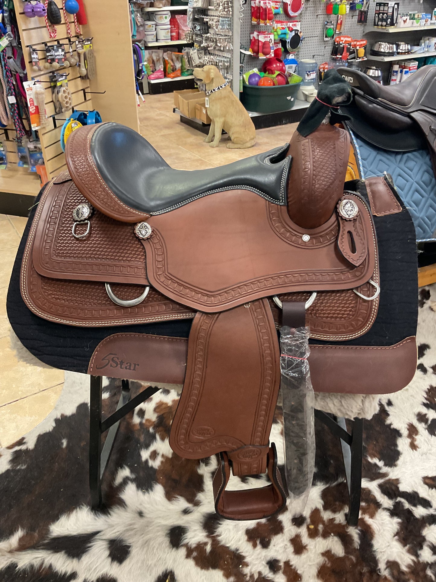 Silver Royal Rio Vista Trainer