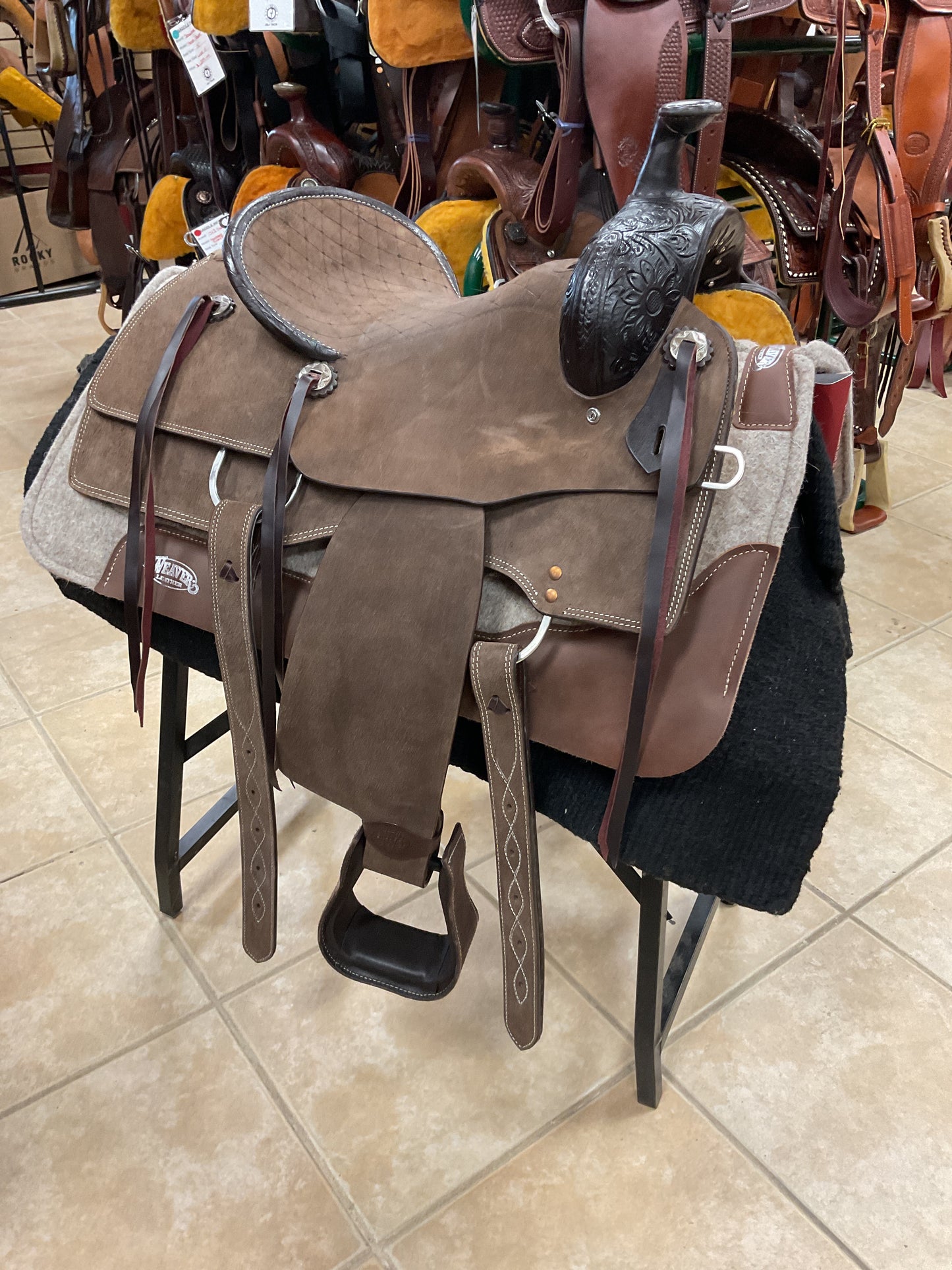 Silver Royal Ranger Ranch