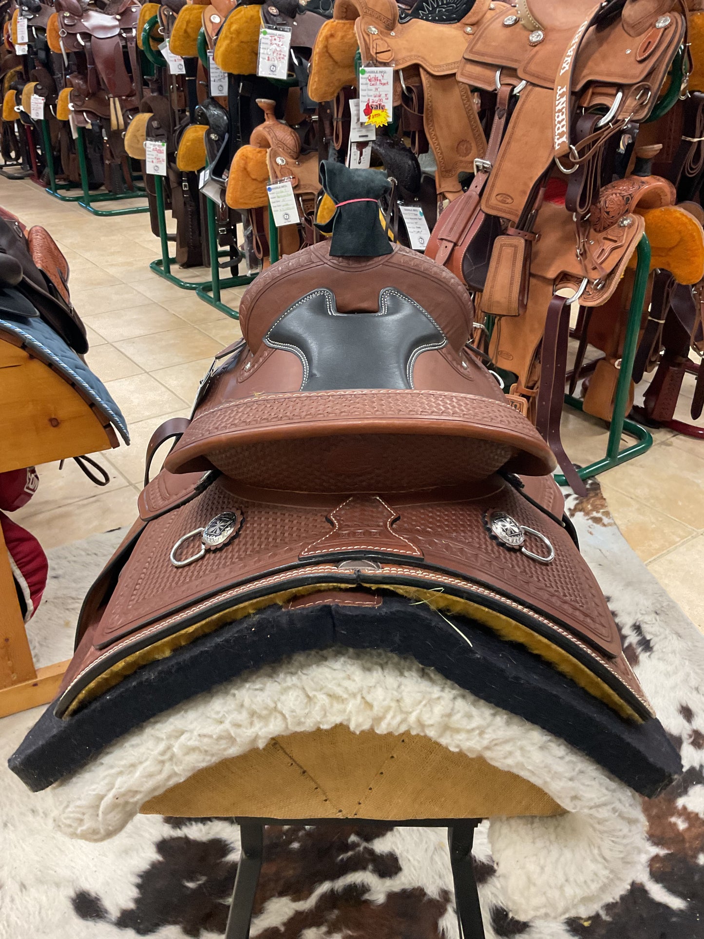 Silver Royal Rio Vista Trainer