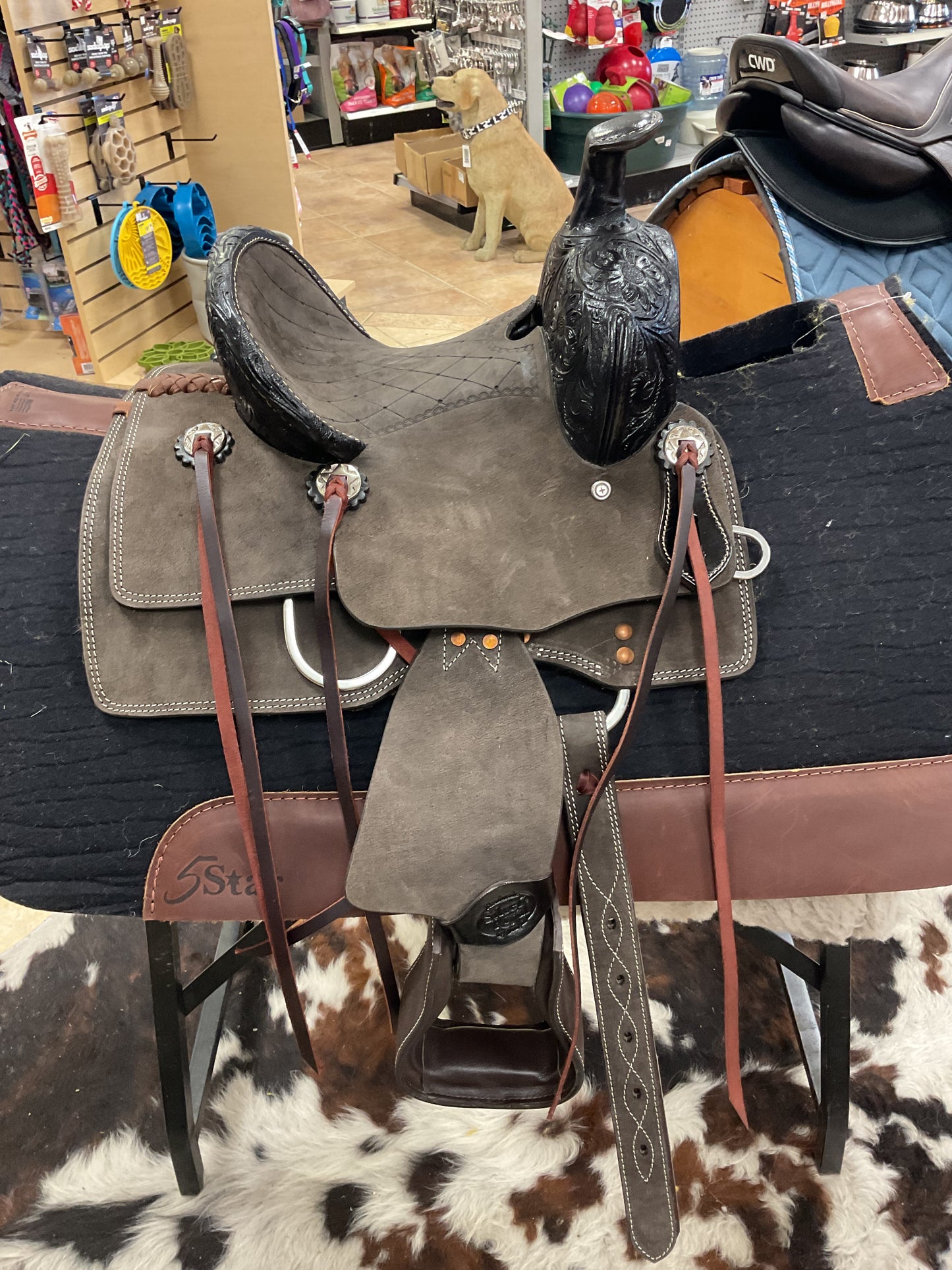 Silver Royal Youth Ranger Ranch