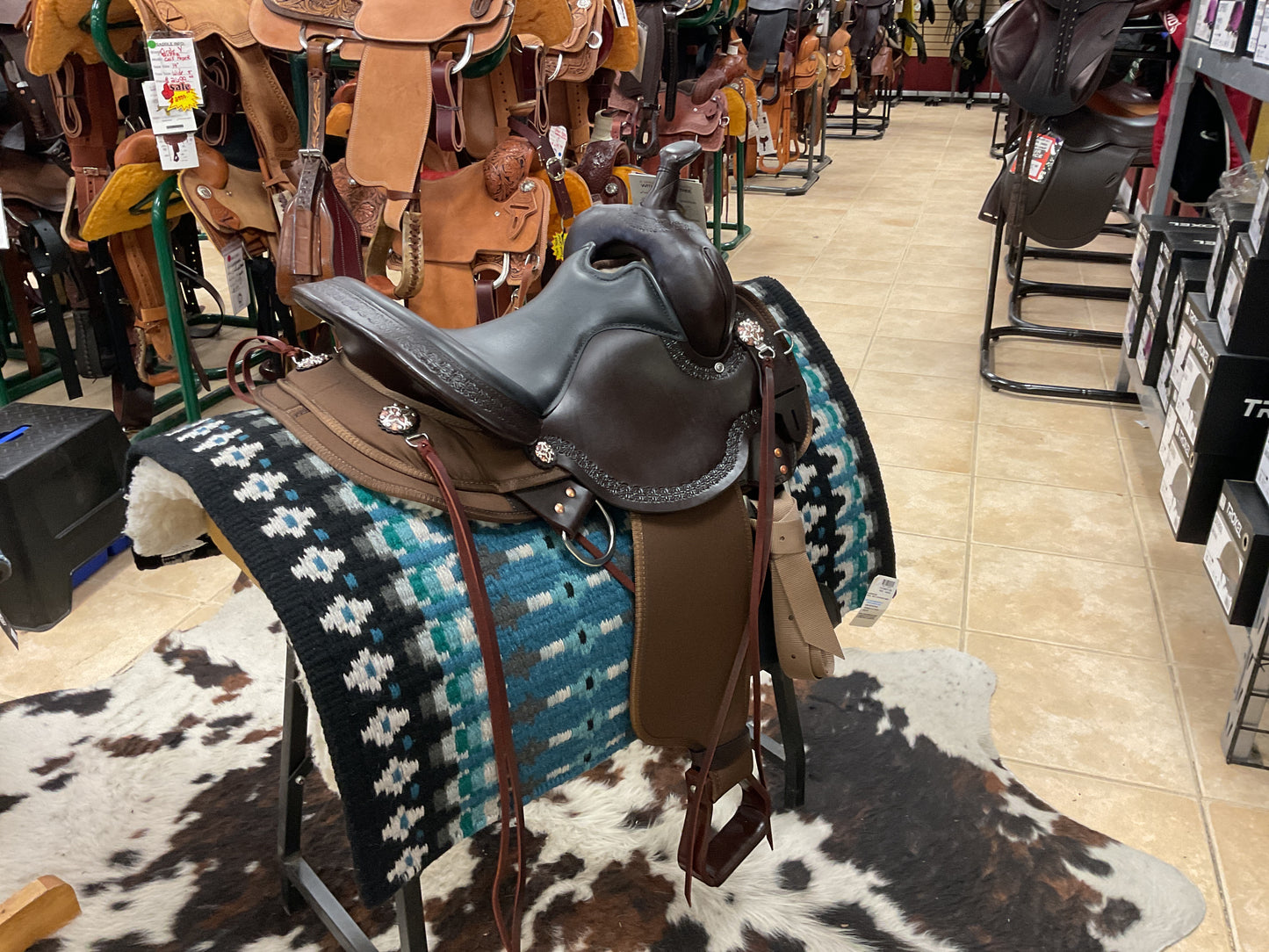High Horse Daisetta Trail