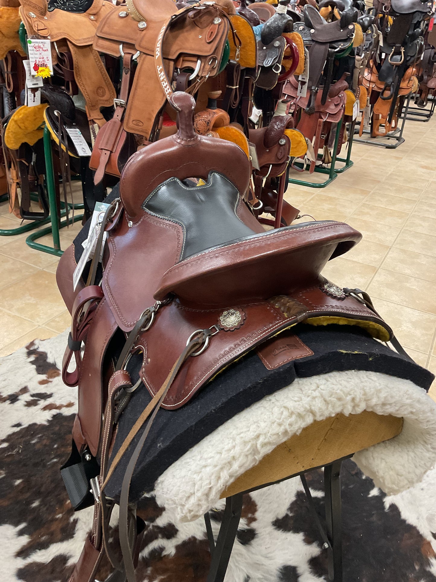 Silver Royal Durango Trail