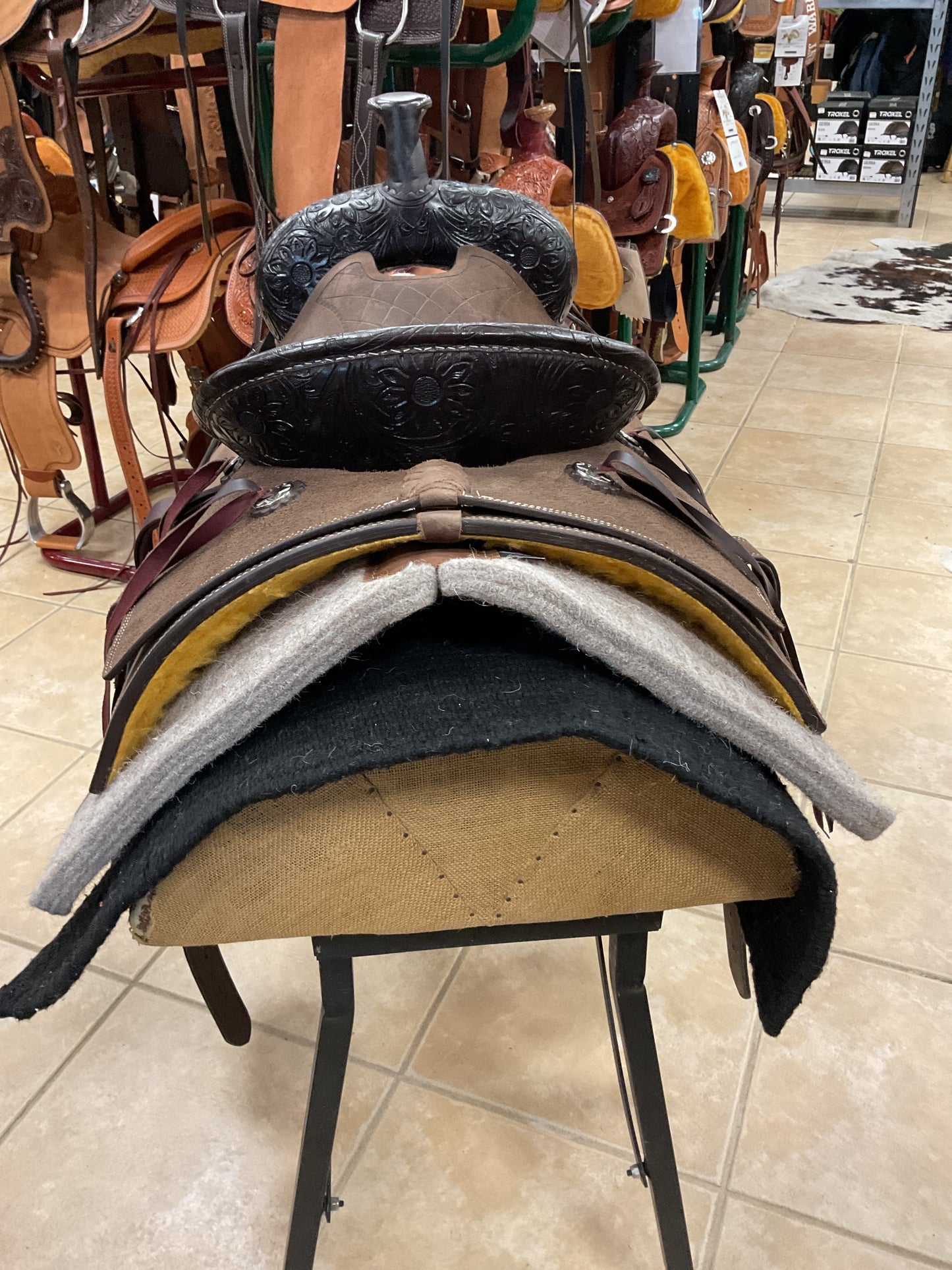 Silver Royal Ranger Ranch