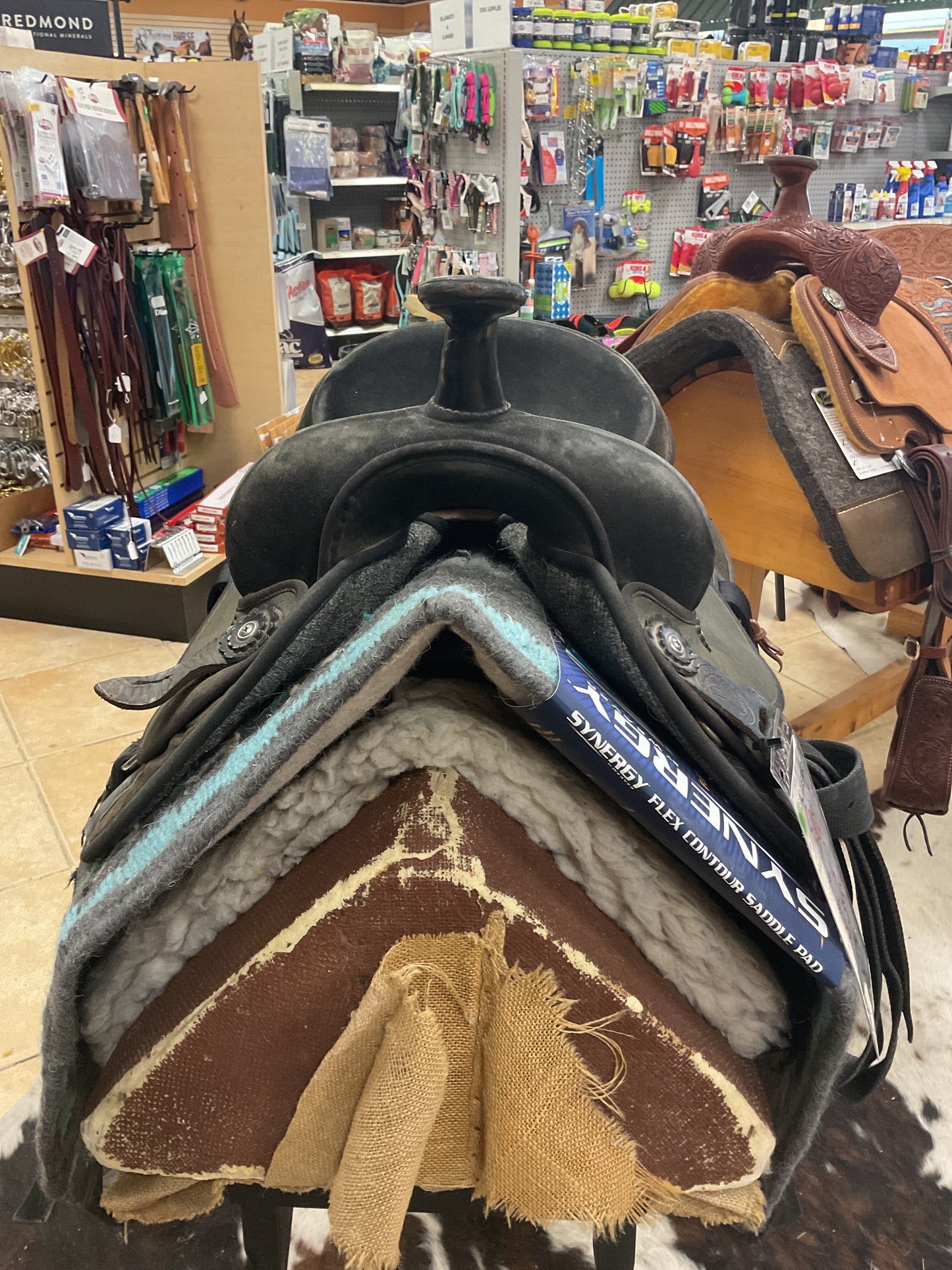 Used Circle Y Trail