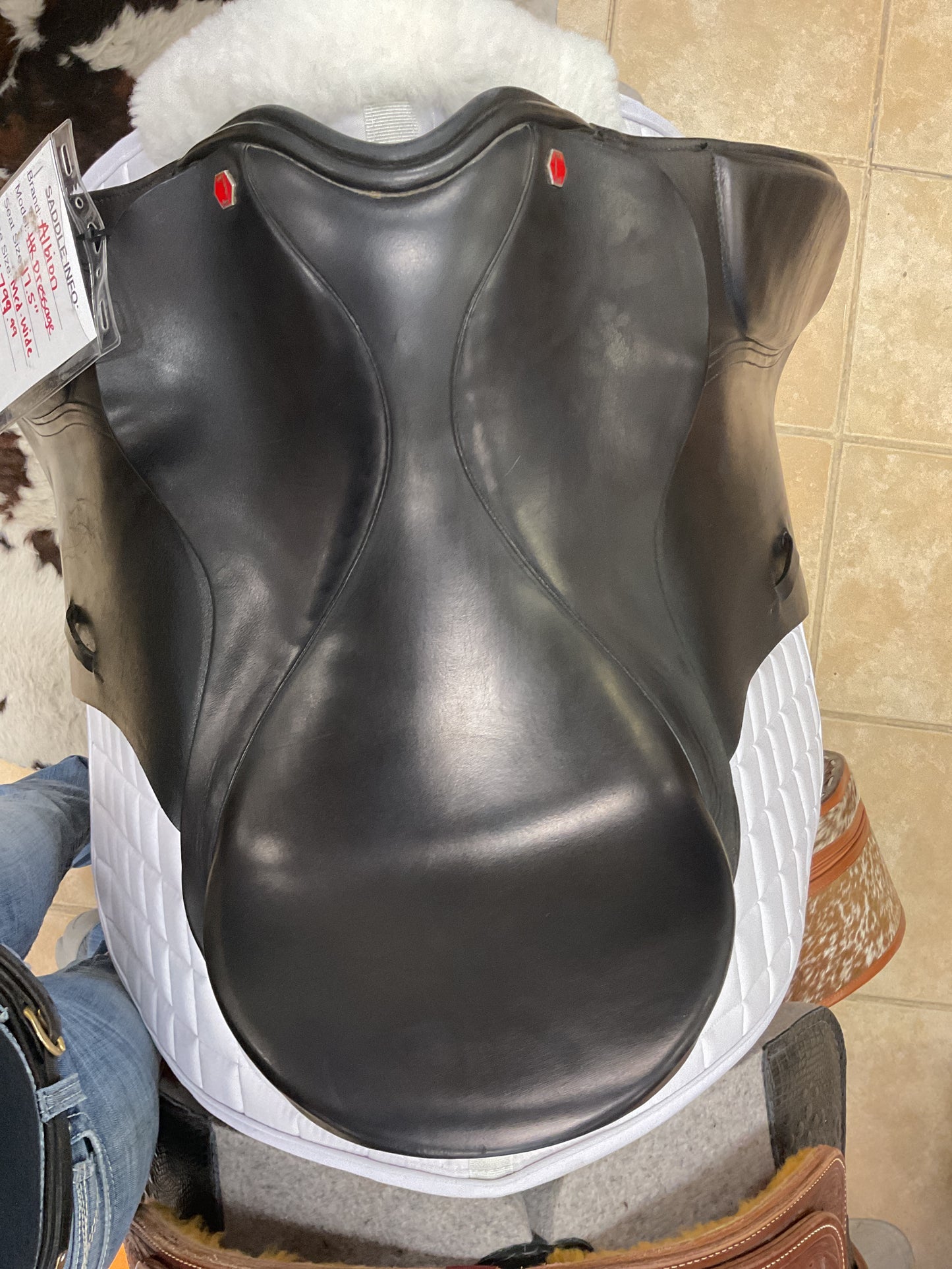 USED Albion HR Dressage