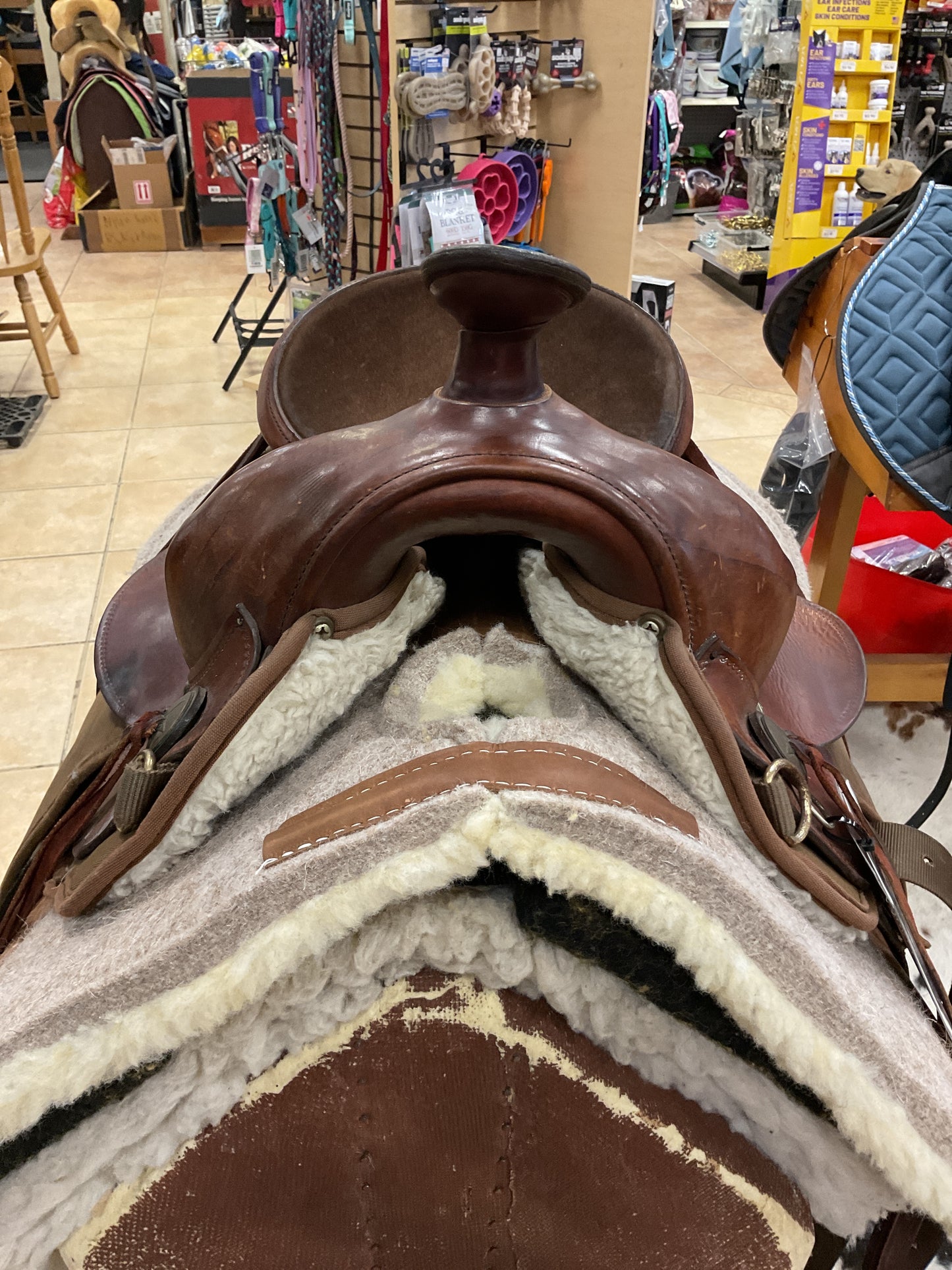 Used Fabtron Trail