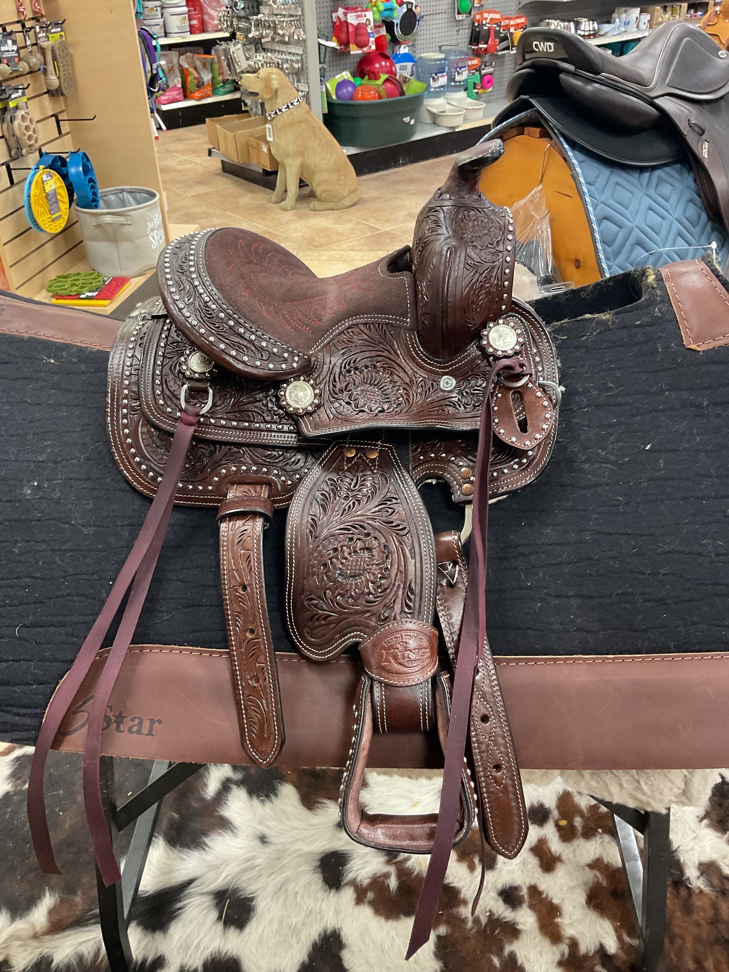 King Series Braden Trail