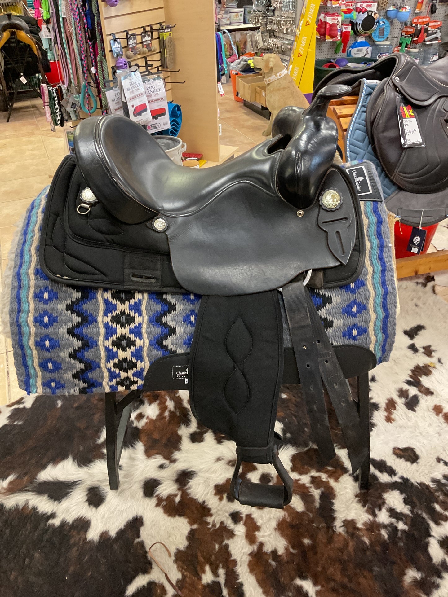 Used Big Horn Trail Saddle