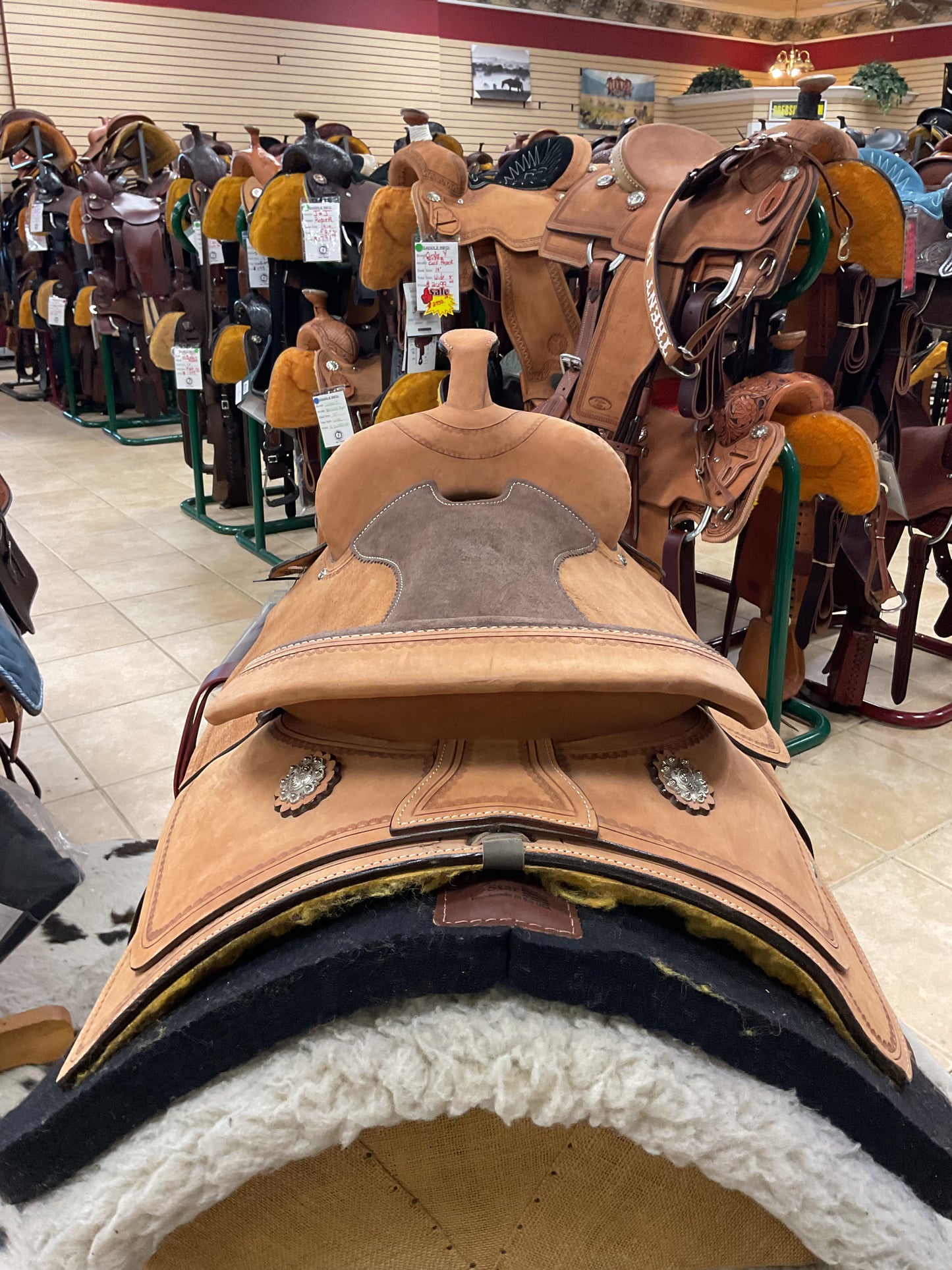 King Series Trail/Pleasure