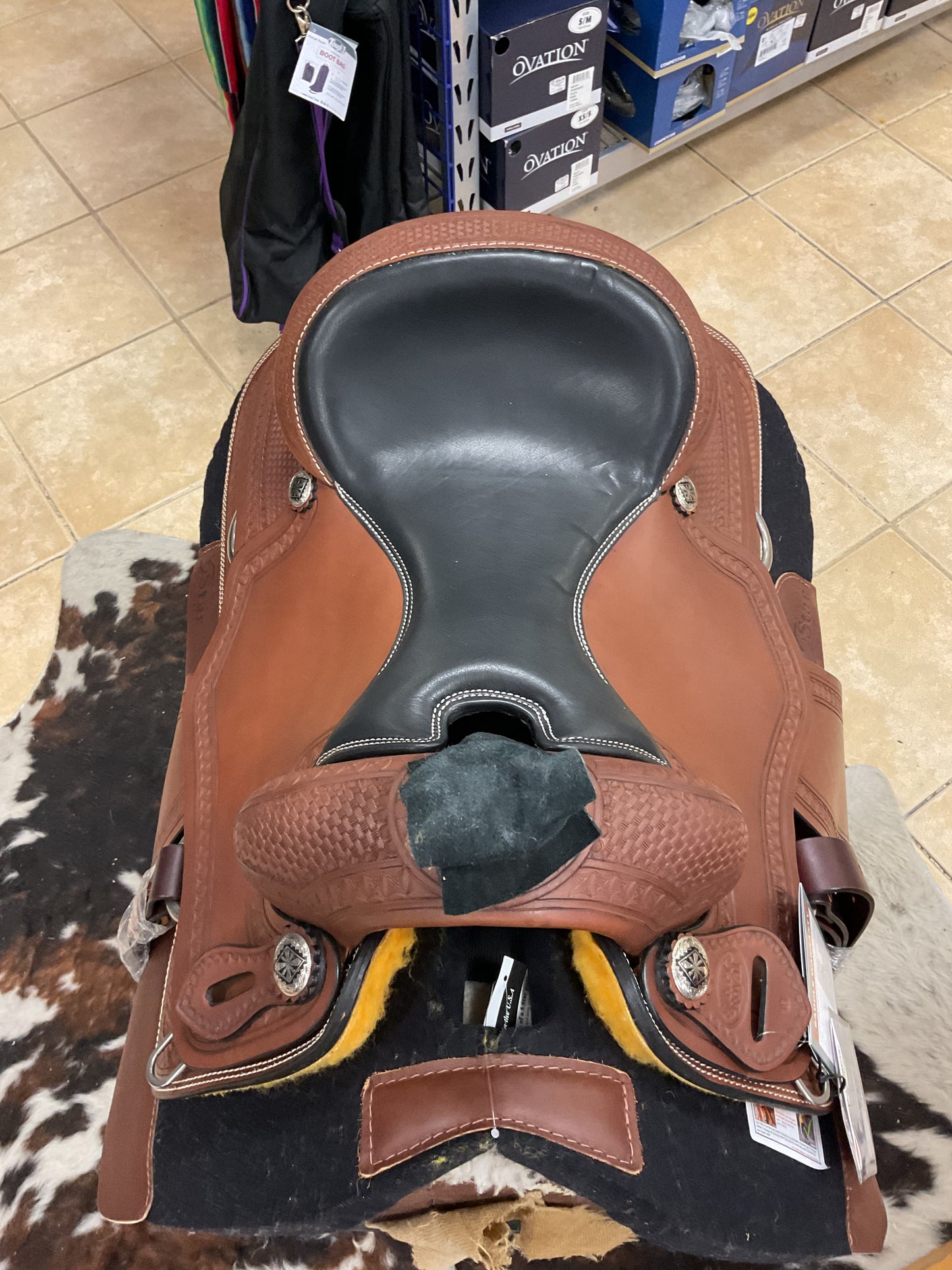 Silver Royal Rio Vista Trainer