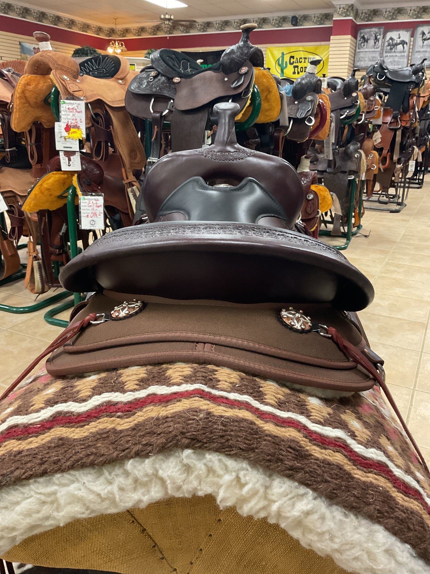 High Horse Daisetta Cordura Trail