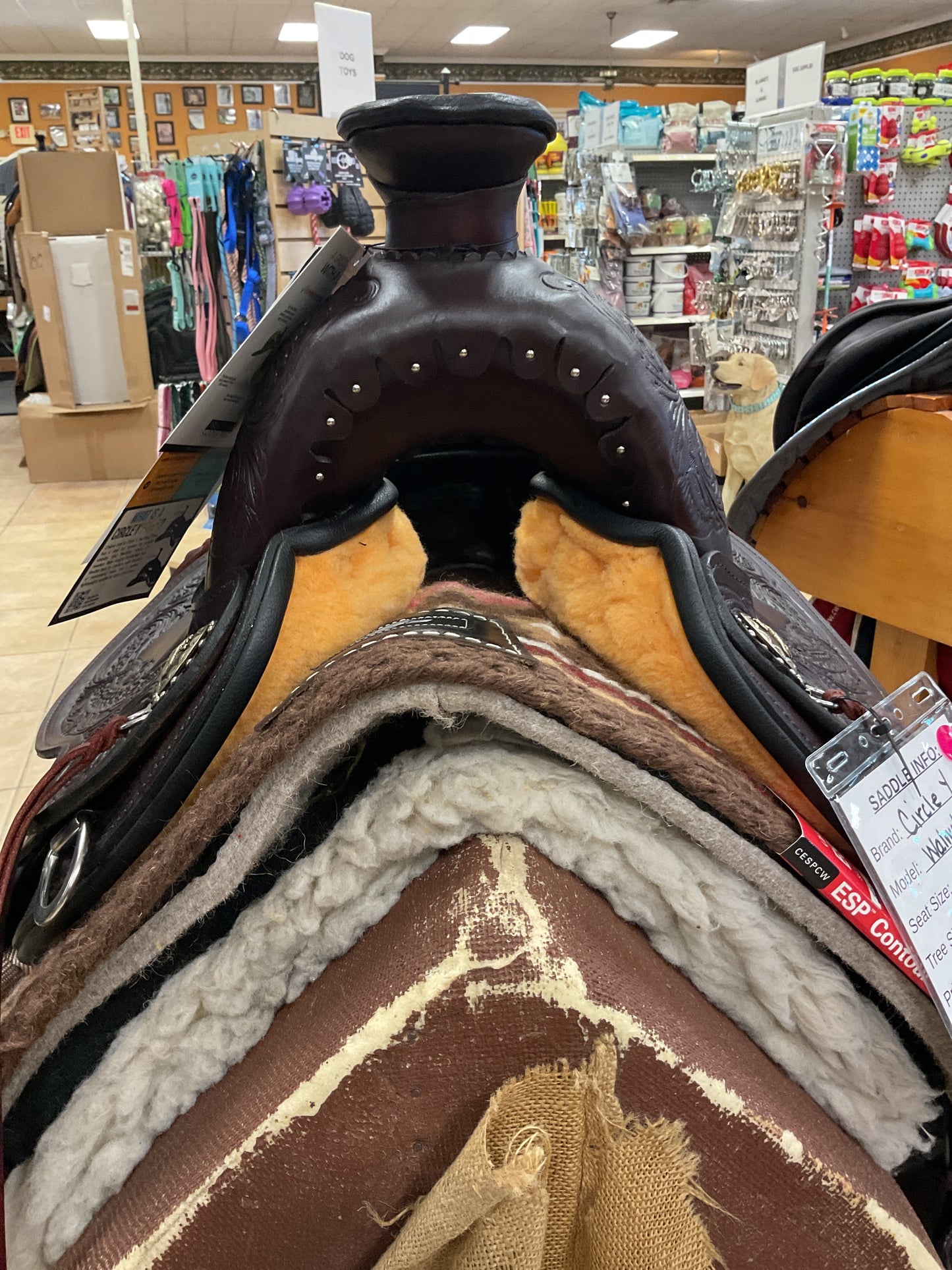 Circle Y Walnut Grove Trail Saddle