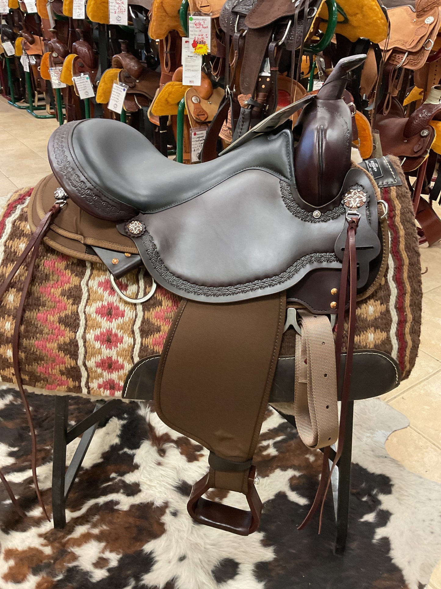 High Horse Daisetta Trail