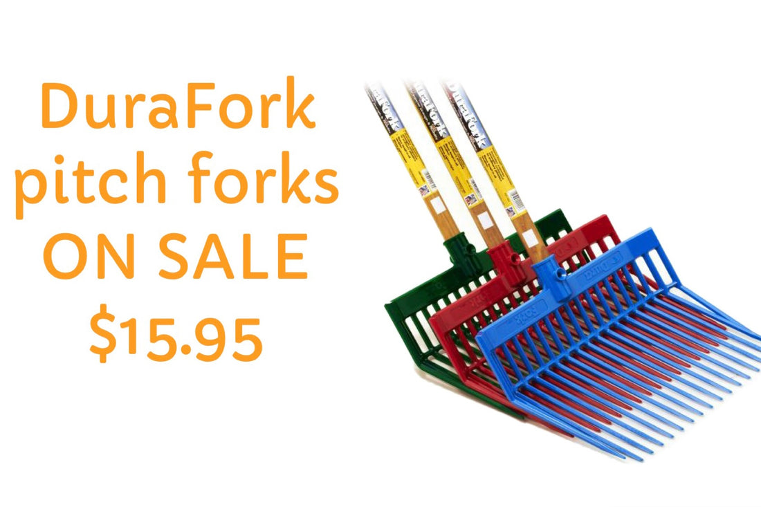 J & J Tack Shack J & J Tack Shack