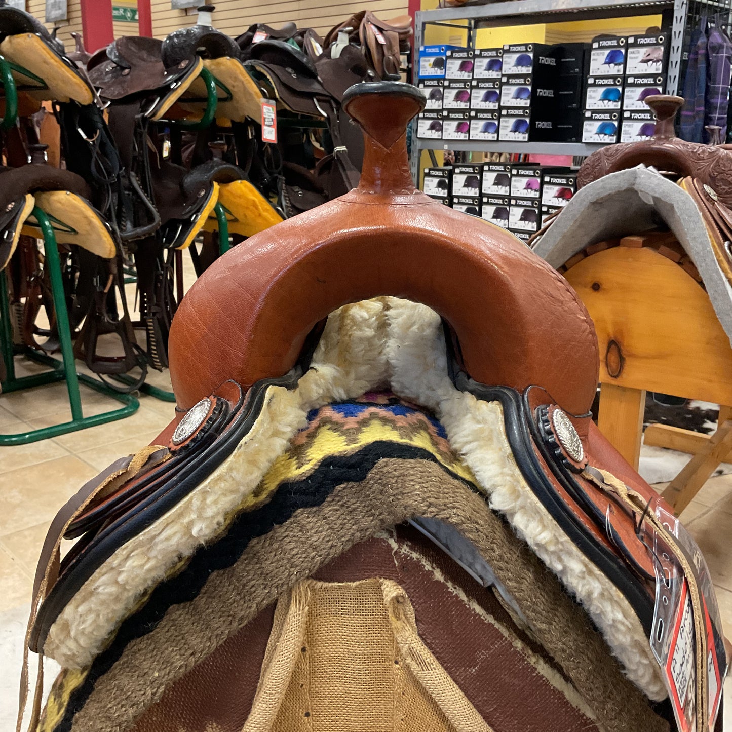 All Around Treeless Saddle w/ Padded Seat