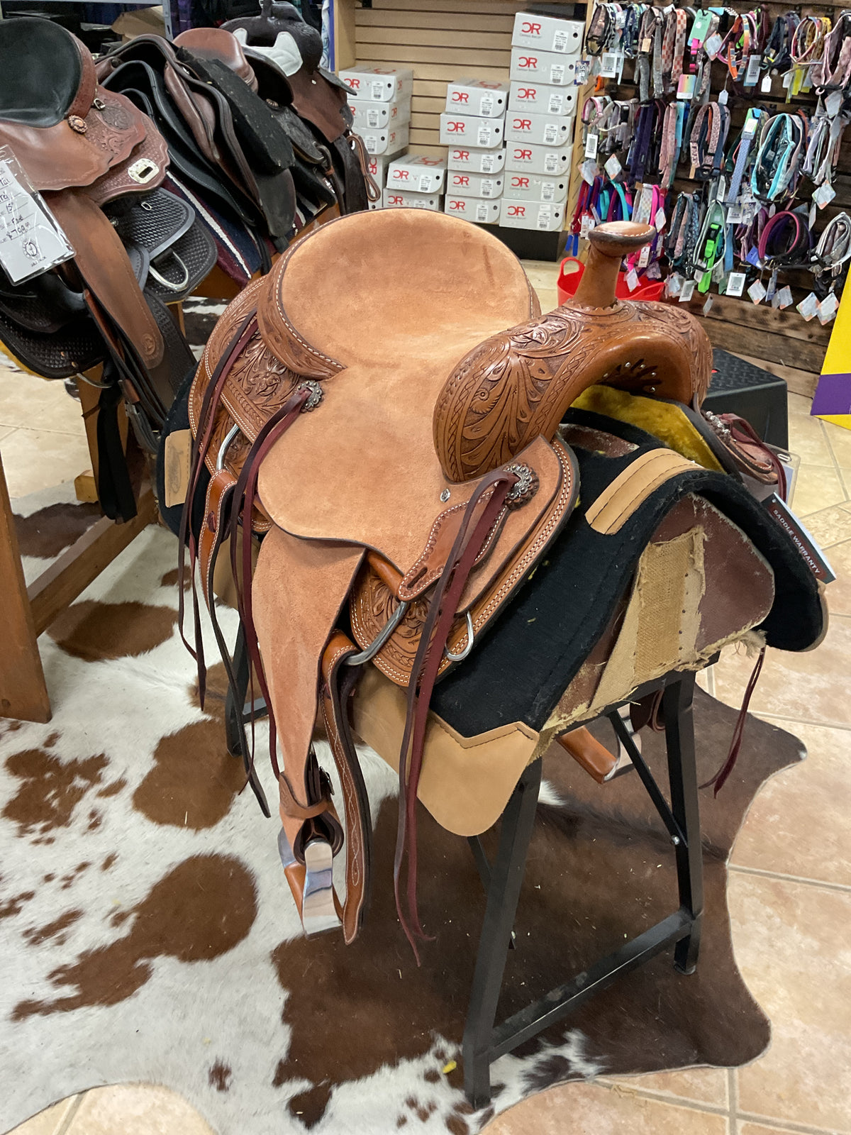 Silver Royal Roper